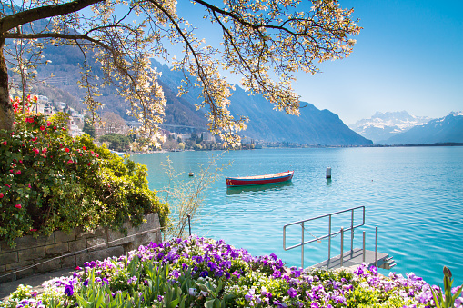 Flores, las montañas y el lago de Ginebra en Montreux, Suiza photo