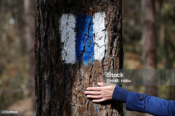 Hand On A Tree Bark Showing A Hiking Sign Stock Photo - Download Image Now - 2015, Blue, Body Part