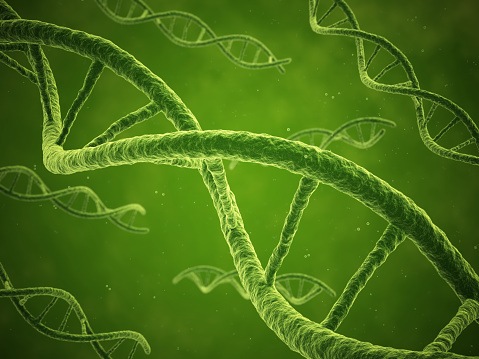 3d render green DNA strands close-up (depth of field)