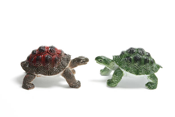 istock Pair of Plastic Tortoises 472501104