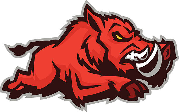 Editable Razorback Hog 210+ Razorback Hog Stock Illustrations, Royalty-Free Vector Graphics ...