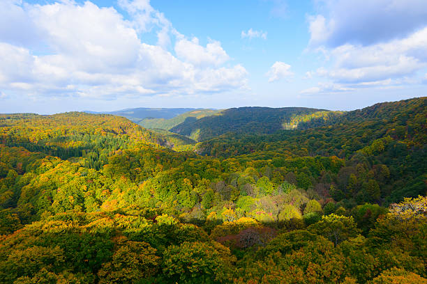 istock Autumn foliage in Aomori, Japan 472502104
