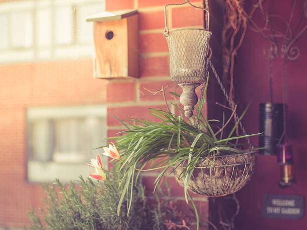 Plants and flowers growing in baskets on a balcony