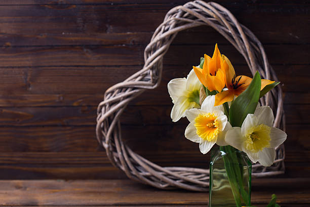 Fresh  spring yellow tulips and daffodils  flowers and decorative heart  on dark  painted wooden background. Selective focus. Place for text.