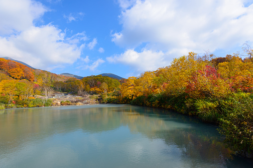 Autumn foliage at the Jigokunuma Pond in Mt.Hakkoda, Aomori, Japan. Mt.Hakkoda is a part of the Towada-Hachimantai National Park.