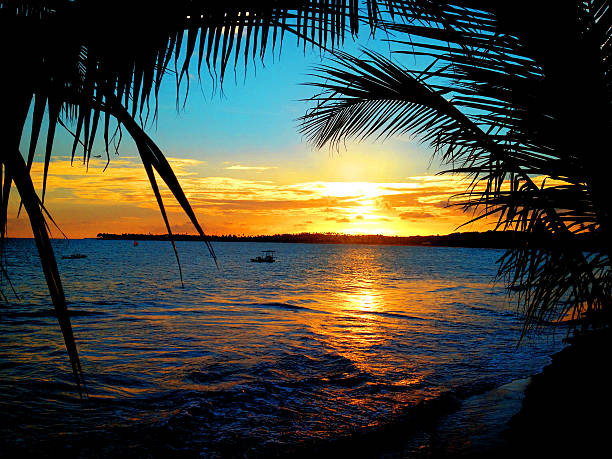 istock A colorful seaside sunset, framed with palm trees 472503062