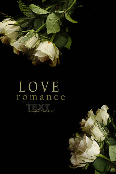 istock bunch of white roses 472503078
