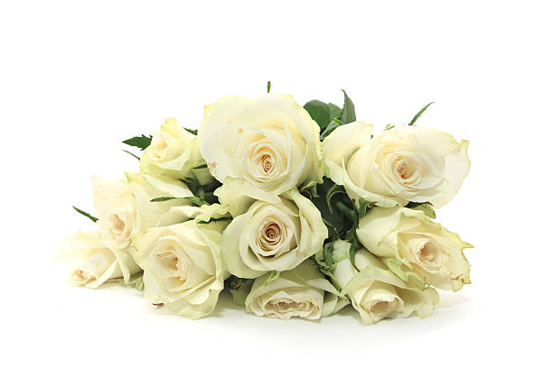 istock Bunch of white roses 472503522