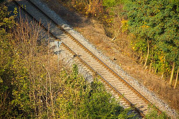 istock Train track in the wood 472504426
