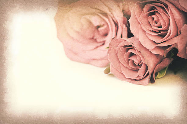 istock Vintage paper texture, Pink roses bouquet with space for text. 472505118