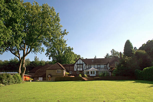 istock Large yard and Tudor house with tall tree 472507306