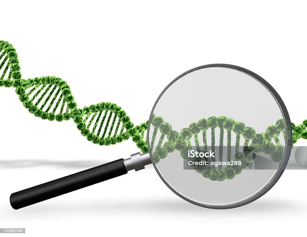 DNA testing concept with DNA strand and magnifier. DNA testing concept with DNA strand and 3d magnifier. 2015 Stock Photo