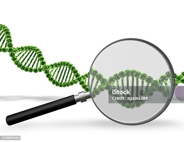 Dna Testing Concept With Dna Strand And Magnifier Stock Photo - Download Image Now - 2015, Biochemistry, Biological Cell