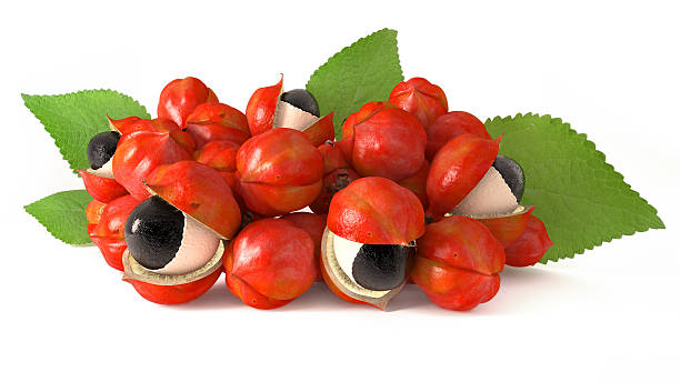 istock Cluster of Guarana on a white background 472508944