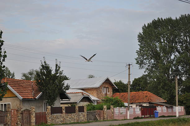 Cegonha a voar - fotografia de stock