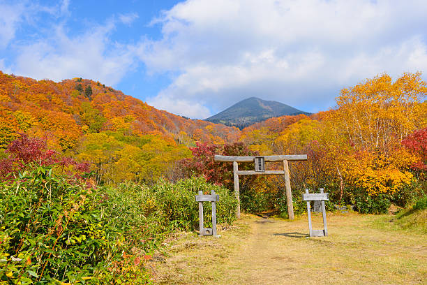 feuillage d'automne à aomori, japon - parc national de towada hachimantai photos et images de collection