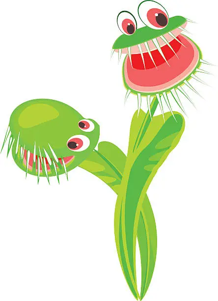 Vector illustration of Venus flytrap predatory flower