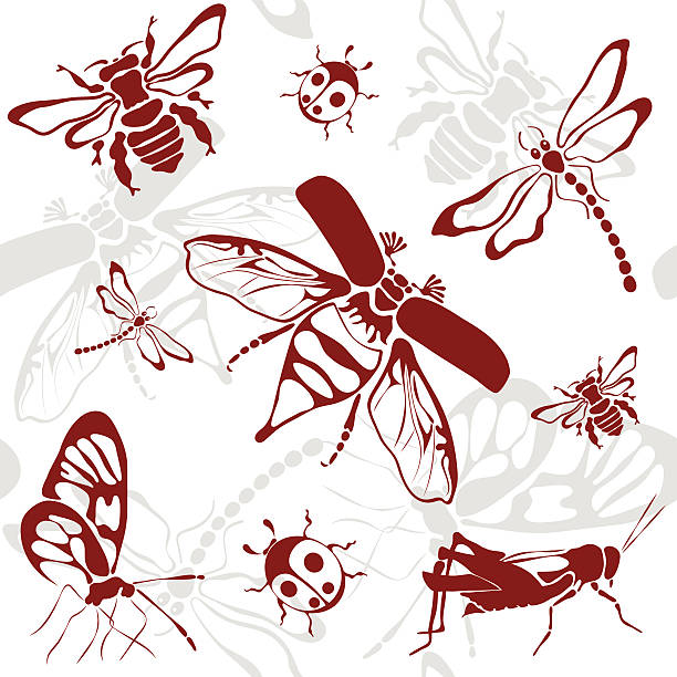 bildbanksillustrationer, clip art samt tecknat material och ikoner med seamless background insects - melolontha melolontha