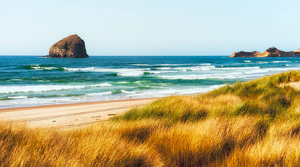 z widokiem na linię brzegową cape kiwanda - cape kiwanda state park zdjęcia i obrazy z banku zdjęć