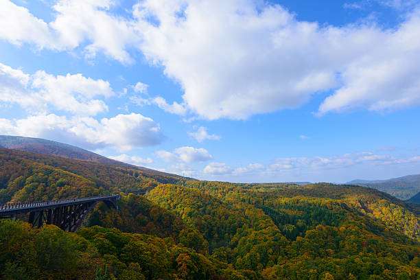 istock Autumn foliage in Aomori, Japan 472514400