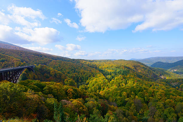 istock Autumn foliage in Aomori, Japan 472514406