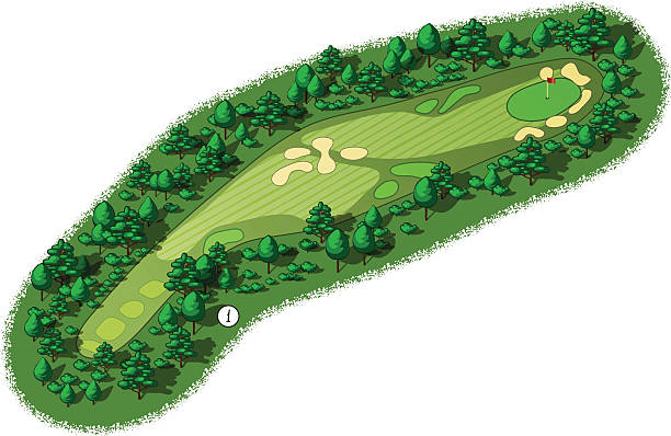 illustrazioni stock, clip art, cartoni animati e icone di tendenza di vettore campo da golf veduta aerea vista assonometrica foro - golf course illustrations