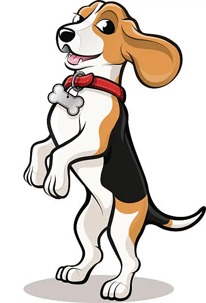 Vector illustration of Beagle Dog Cartoon standing on hind legs