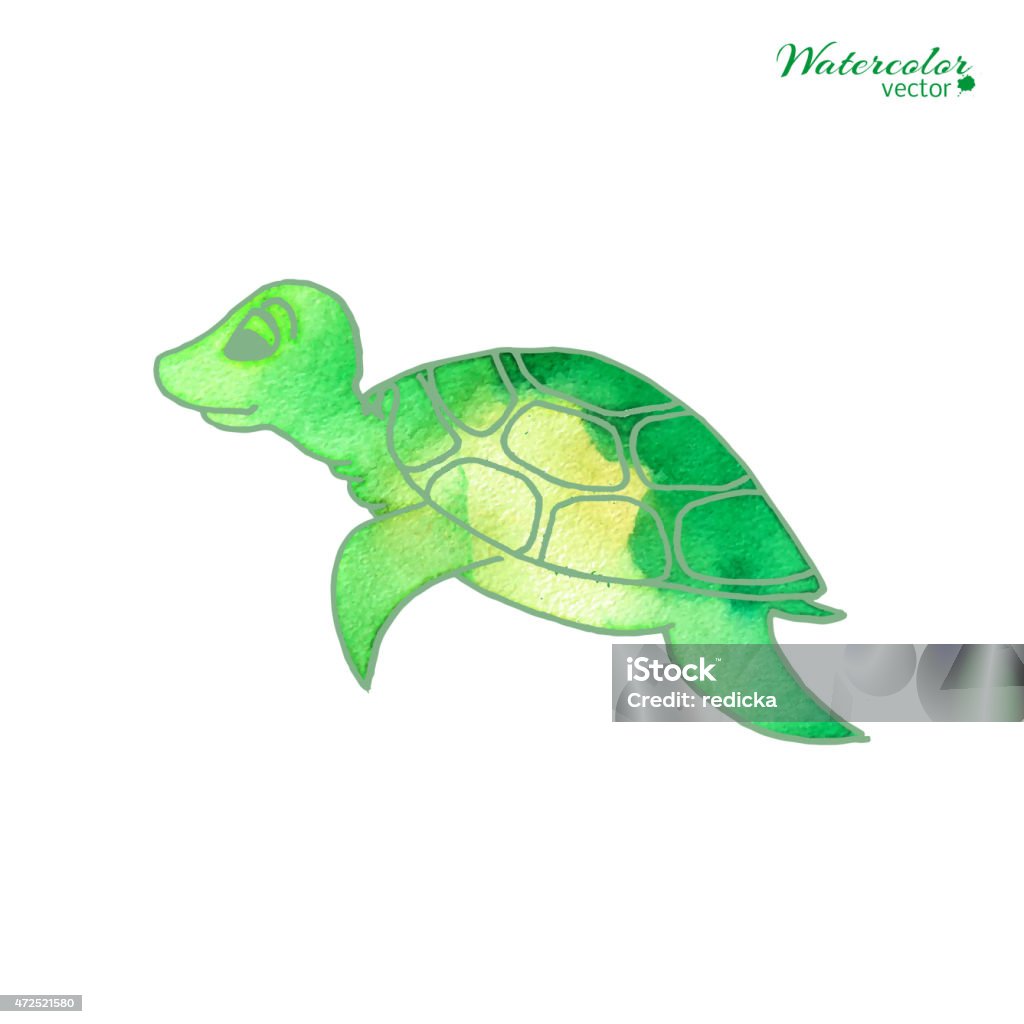 turtle in cartoon style Vector watercolor illustration - turtle in cartoon style isolated on white background. 2015 stock vector