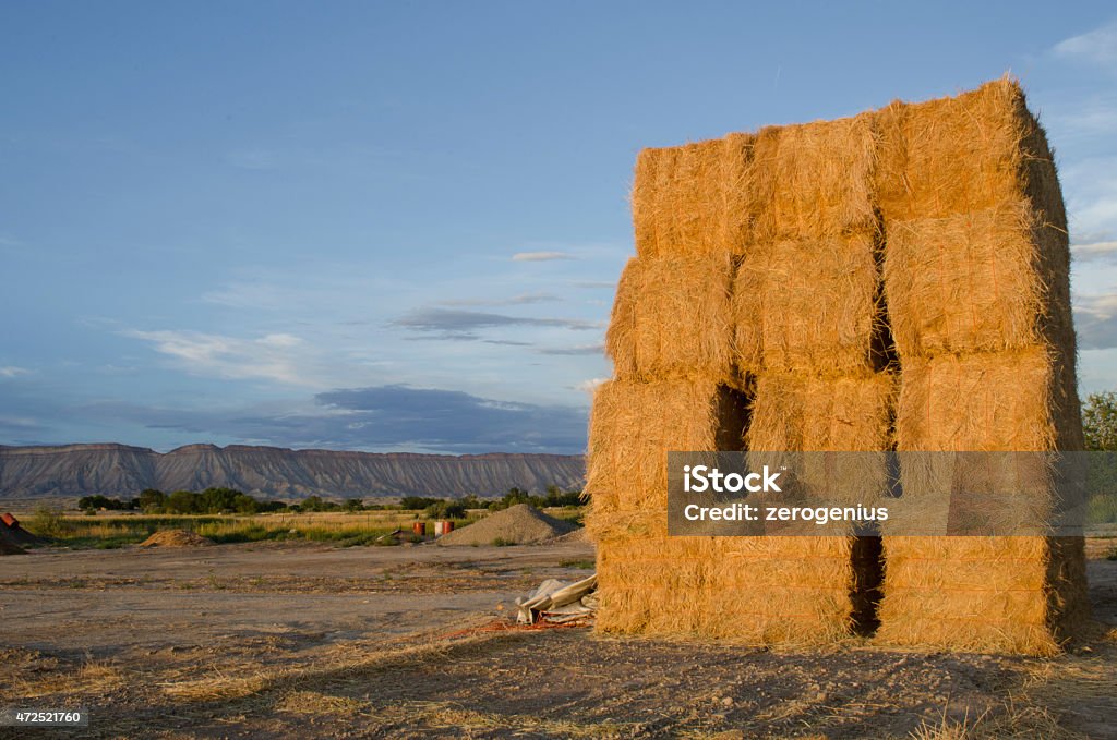 Bails of Hay A stack of bailed hay in Grand Junction, CO. 2015 Stock Photo