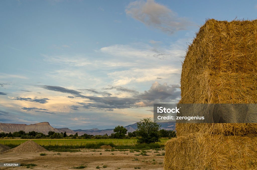 Bails of hay Bails of hay stacked at sunset on a farm in Western Colorado. 2015 Stock Photo
