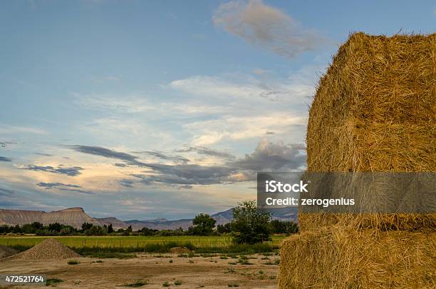 Bails Of Hay Stock Photo - Download Image Now - 2015, Colorado, Farm