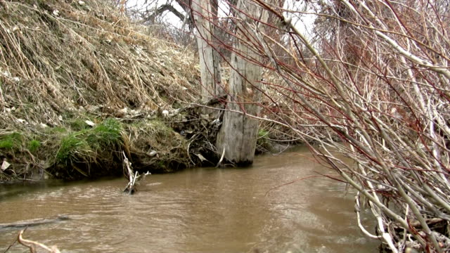 (Perfect Loop) Overflowing Muddy Barren Creek