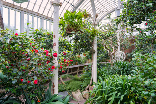 istock Palmhouse, Greenhouse 472522106