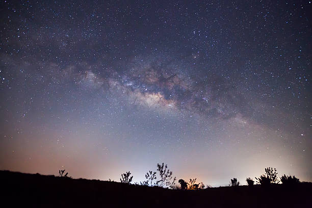 istock Silhouette of Tree and Milky Way. Long exposure photograph. 472525802