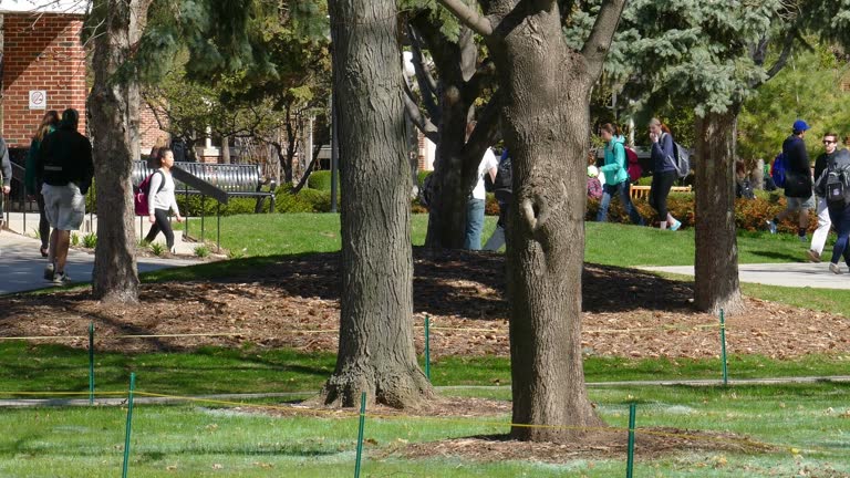 College Students Walking Around Busy Campus on Cool Spring Day