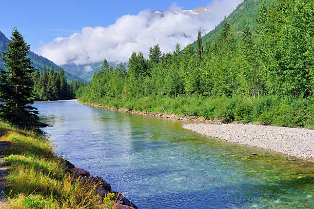 istock mountain river in Glacier National Park 472529722