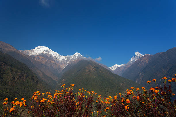 istock Machhapuchchhre mountain - Fish Tail in English 472532920