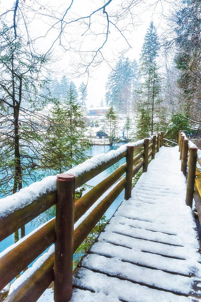 istock Snowy Bridge in Switzerland 472534012