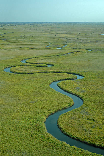istock Okavango Delta, aerial view, Ngoga River, Botswana, Africa 472538084