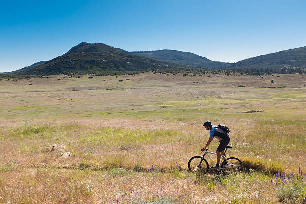istock Mountain Biker In a Meadow 472538586