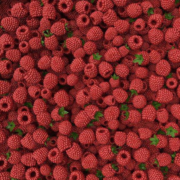 Fruits and vegetables