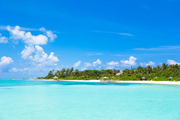 istock Beautiful white sand beach and Indian ocean 472540418