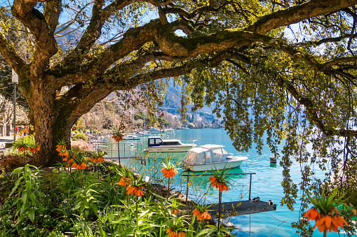 Idyllic swiss riviera of Lake Geneva in Montreux, Switzerland