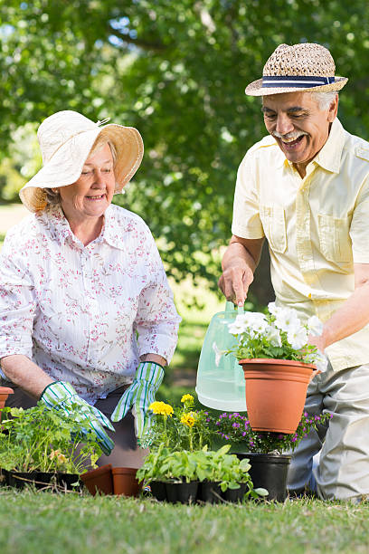 istock Happy senior couple gardening 472547296