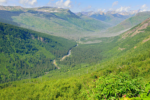 istock Glacier National Park landscape 472556552