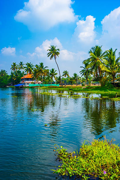 de kerala backwaters de - kerala imagens e fotografias de stock