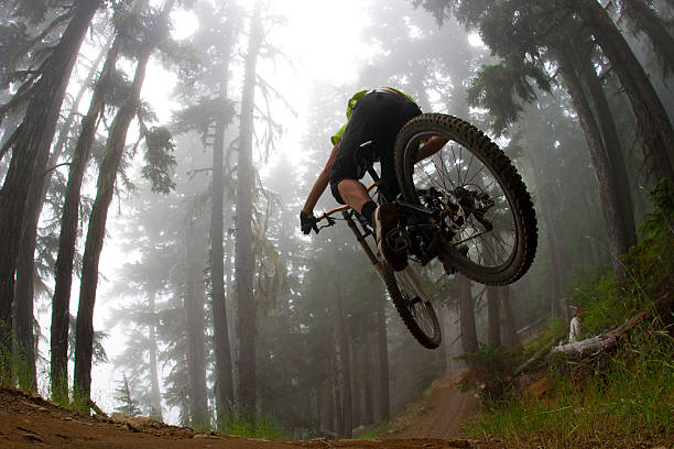 Low angle photo of mountain biker jumping in forest A male mountain bike rider hits a jump on a trail in a forest on a foggy day.  mountain biking photos stock pictures, royalty-free photos & images