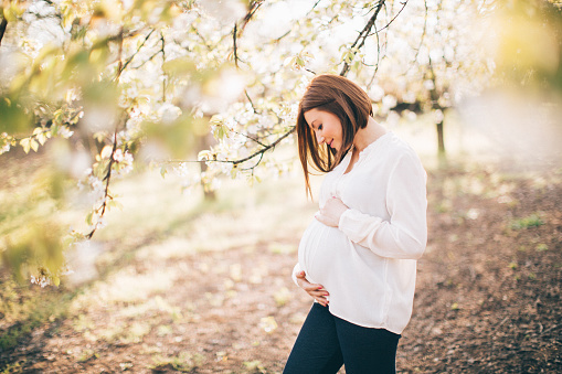 Photo of pregnant woman relaxing in nature under a cherry blossom tree