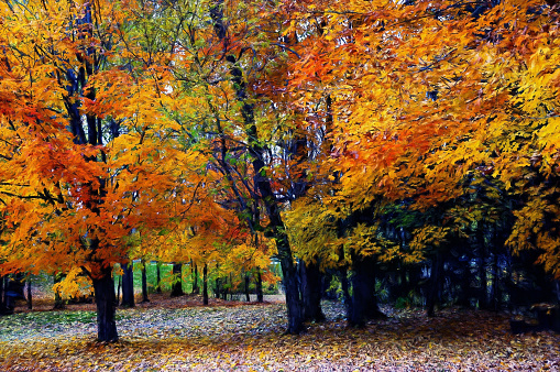 Digital art, artistic oil paint effect, orange autumn forest