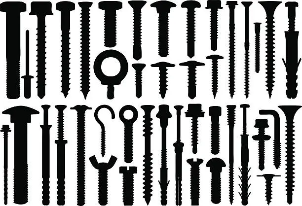 Vector illustration of Screws